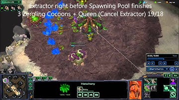 Zerg: HotS Build Order: Life