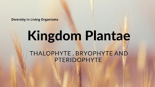 Différence entre thallophyta bryophyta et ptéridophyta