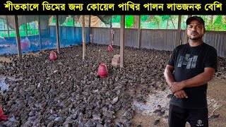 শীতকালে ডিমের জন্য কোয়েল পাখির পালন লাভজনক বেশি! ১ হাজার কোয়েল পাখি পালনে ১৫ হাজার টাকা আয় সম্ভব।
