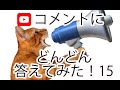 【返信動画】コメントにどんどん答えてみた！第１５弾