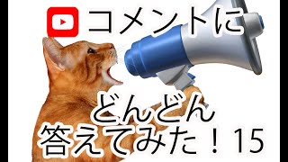 【返信動画】コメントにどんどん答えてみた！第１５弾