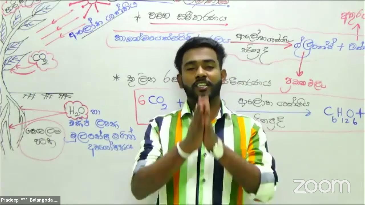 PHOTOSYNTHESIS GRADE 11 YouTube PHOTOSYNTHESIS GRADE 11 YouTube
