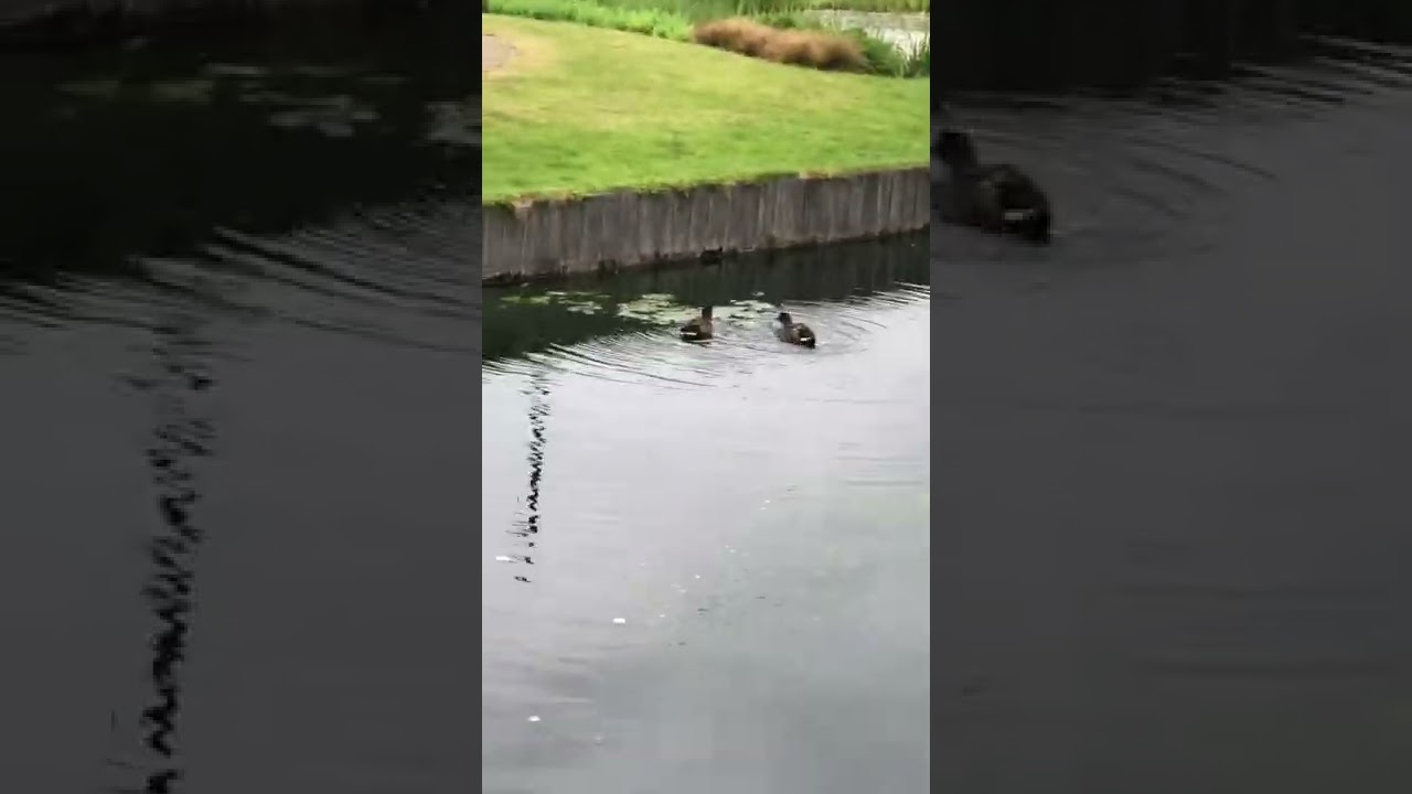 Gloucester Business Park