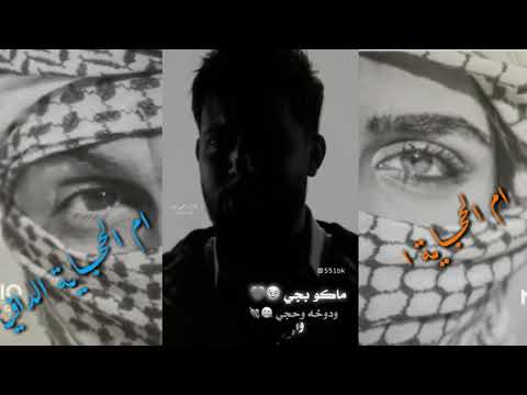 علي كرداي  بلا حبك ميمي