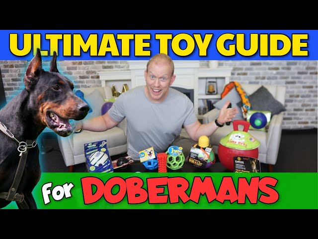 All Time Best Dog Toys for Dobermans: 20 TOYS TESTED! 