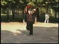 Taiji Kung Fu Fan - Xiyanmei