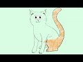 Cat & Dolphin