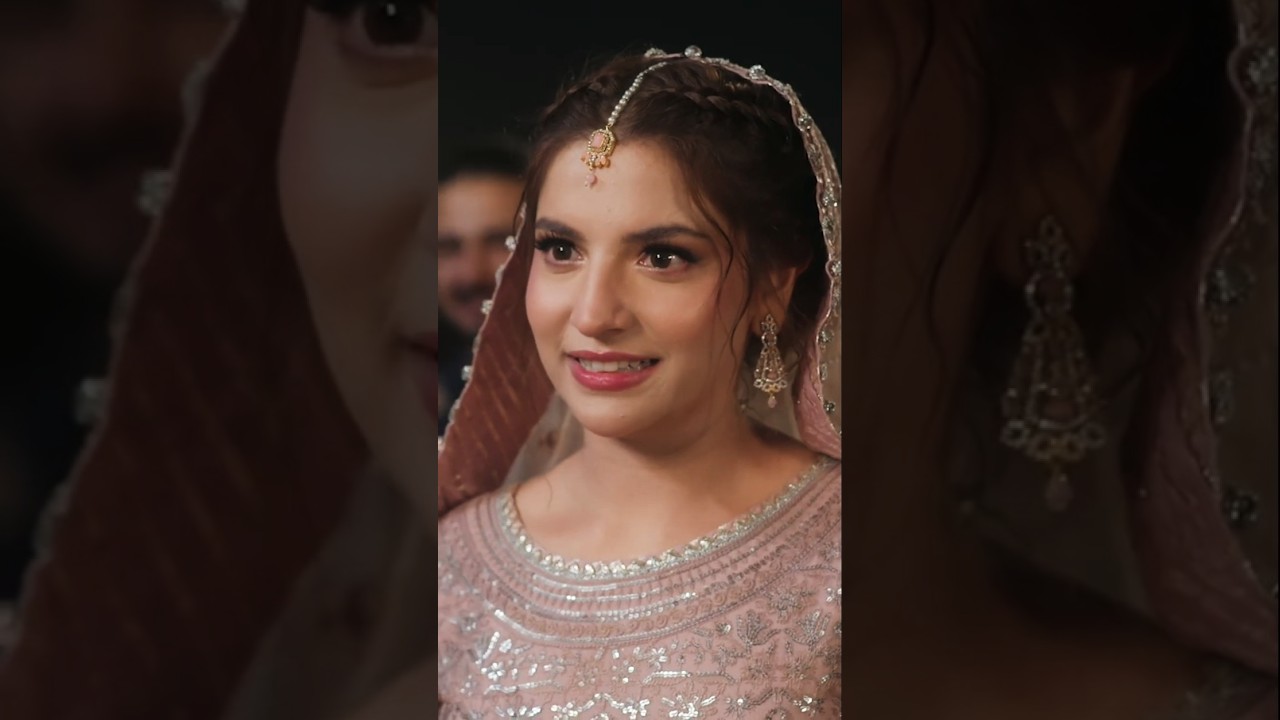 Very Filmy Dananeer best sense🤩 