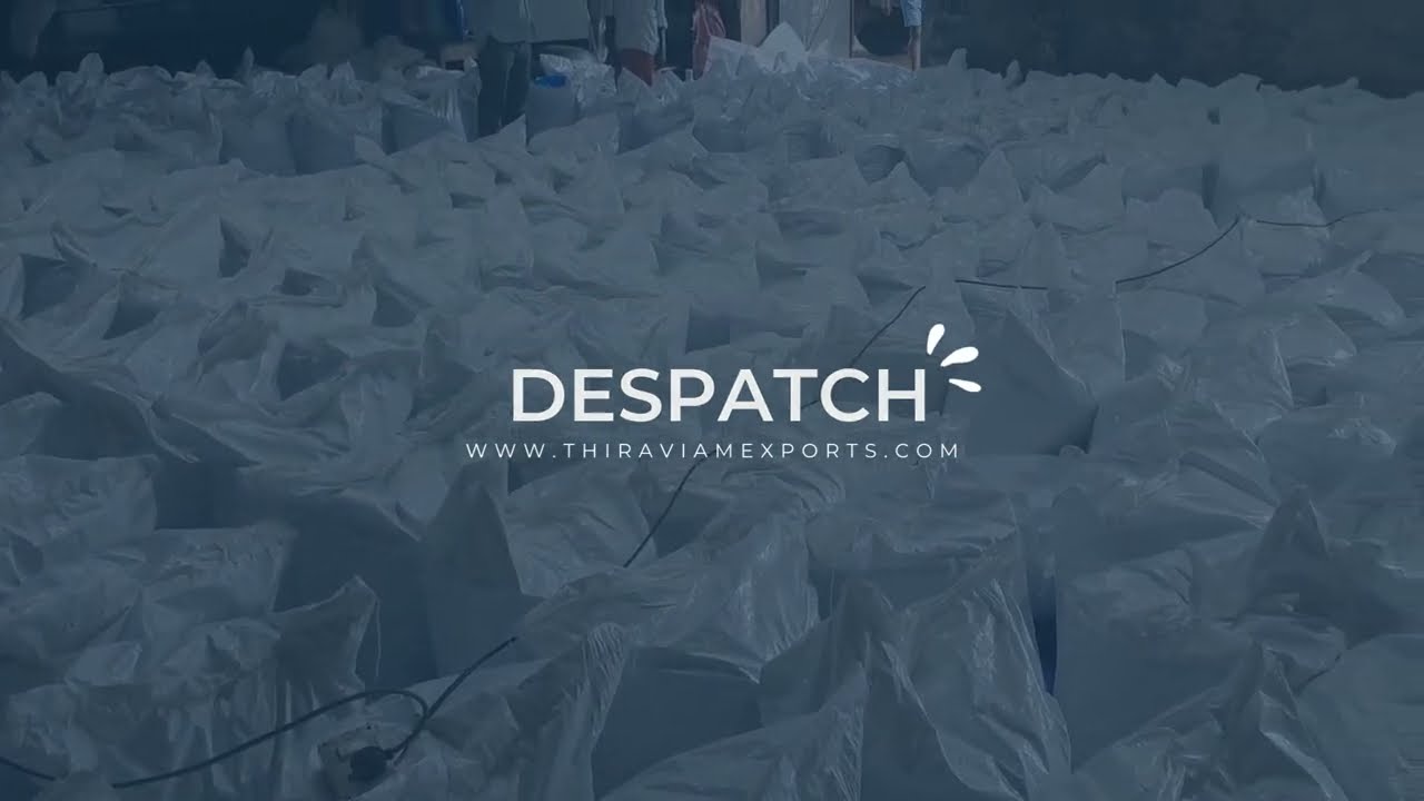 READY TO DESPATCH - EXPORT - 1x20ft FCL MORING WINGLESS SEEDS