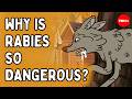 Why is getting bitten by a rabid animal so dangerous? - Charles Rupprecht