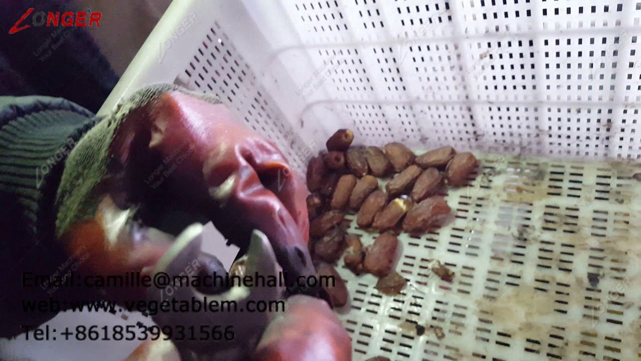 Hot Sale Fruit Pitter Machine|Dates Pitting Machine Manufacturer