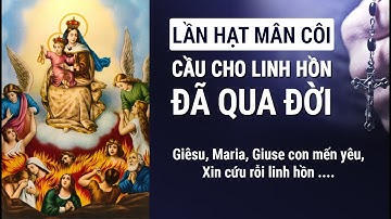 Lần Hạt Mân Côi Cầu Cho Linh Hồn Đã Qua Đời (Có lời kinh để đọc theo hàng ngày)