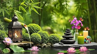 Zen Garden Serenity Peaceful Music with Flowing Water, Lotus Flowers & Candlelight Ambience #relax screenshot 5