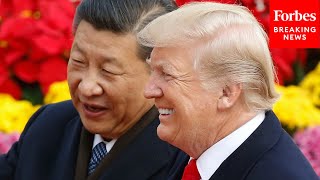 'I Just Like Him': Trump Explains Why He And Xi Jinping Have 'A Very Good Relationship'