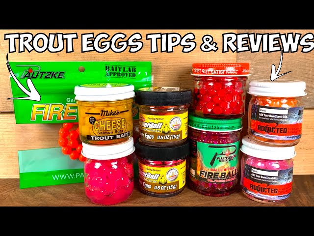 TROUT EGGS Trout Fishing TIPS & REVIEWS of 5 Best Trout Eggs (How