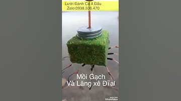Mồi Gạch và Lăng xê Đĩa ( Zalo:0938.336.470)
