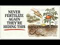 The "Gray Mineral" That Triples Fruit Size — Why Did We Switch to Chemicals?