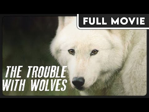 Trouble with Wolves (1080p) FULL MOVIE - Documentary, Nature, Western