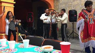 Vienes y Te Vas - Willian Luna con Mariachis (México)