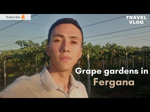 Trip to Fergana #travelvlog #natgeo #nature #nationalgeographic #travel #uzbekistan #inspiration