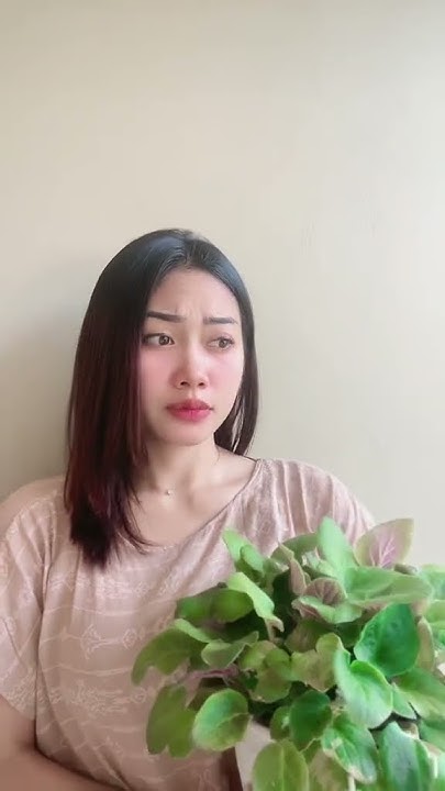 burut lagi - YouTube