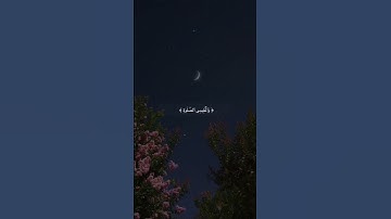 الراحه النفسيه _ القرآن الكريم _ آيات قصيره انستكرام _ حالات واتس اب