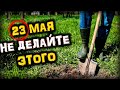 23 мая НЕ ДЕЛАЙТЕ Этого в Именины Земли | Голос Анха