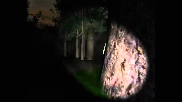 slender 5 mp4 part 1