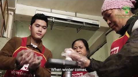 CUỘC THI VIDEO CLIP TIẾNG ANH NĂM 2025: Nhóm thí sinh lớp 12A1, trường THPT Thành phố