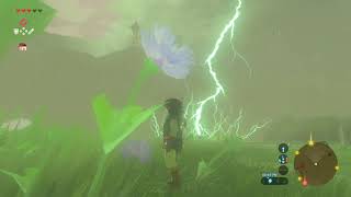 2020 LINKvines ~The Legend of Zelda Breath of The Wild