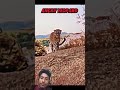 https://youtube.com/shorts/TpoH7GADQoI?si=p2kZVklZo20UMEQN@HomaCreation-A #transformers #edit #ir
