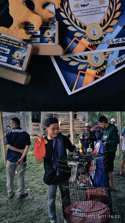 Alhamdulillah Gatot kaca ada hoki lagi #ringtone