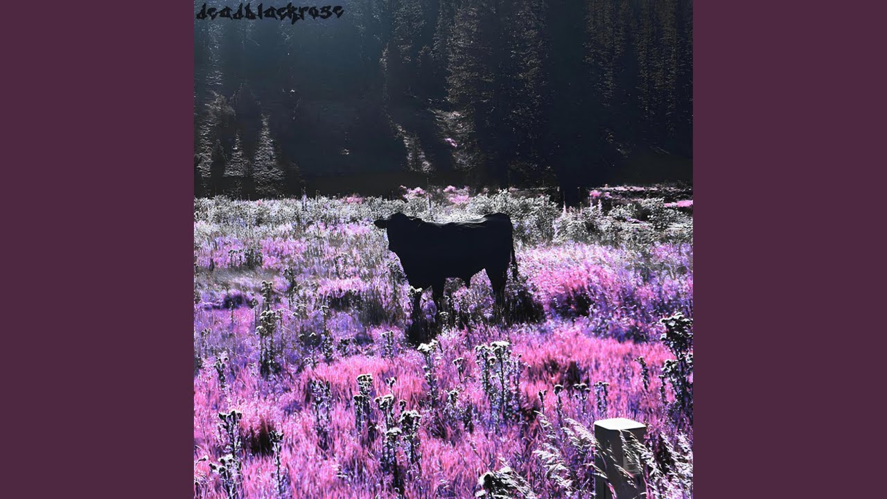 All You Need (Acoustic Demo Version)