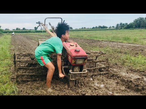 Video: Máy Cày