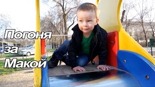 VLOG: Меняем постель / Клим и Мака / Пирог со шпинатом / Смотрим свадебное видео