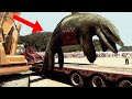 10 Most Bizarre Prehistoric Creatures!