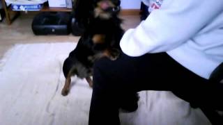 Capture 20130227 1