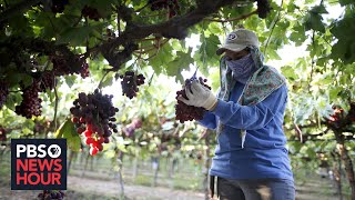 How building a community of care can improve farmworkers' health
