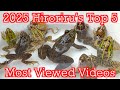 【2025】ひろりるの最も視聴された動画TOP5【ガサガサ】
