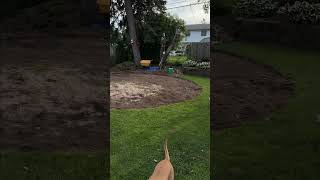 Is this rock bed going to stop us? Pool day 2 #backyard #diy