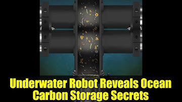 Underwater Robot Reveals Ocean Carbon Storage Secrets