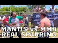 Mantis kung fu vs mma  real sparring  