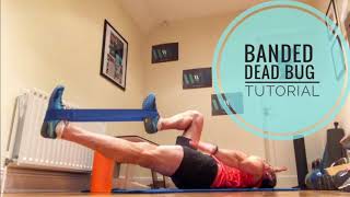 Banded dead bug tutorial