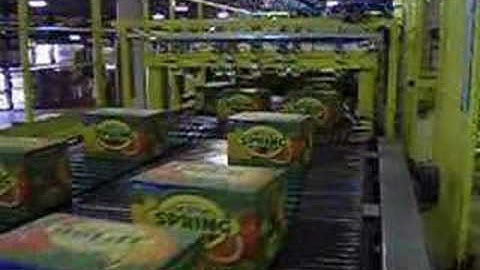 OCME - Orion in-line palletiser for cartons and bundles