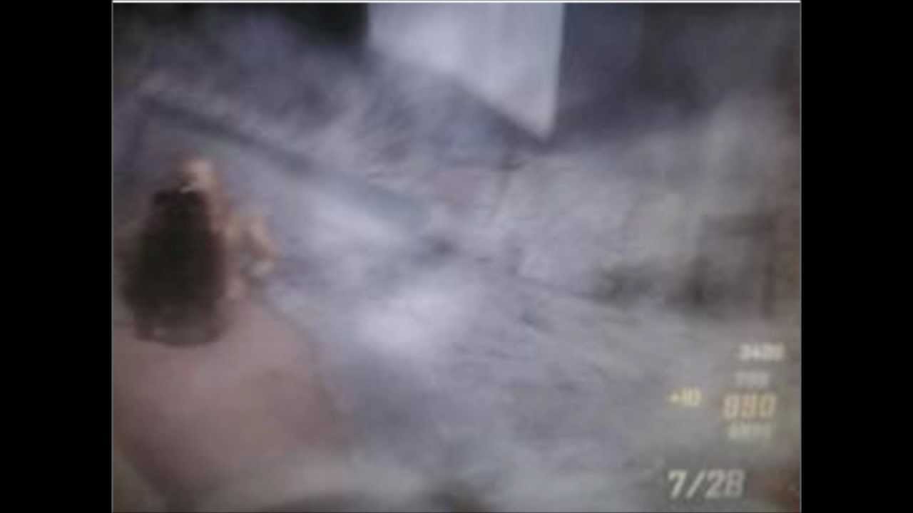 Die Rise"Leaked Image,Boss,Trolly Ride,Easter egg!"(Black ops 2) YouTube