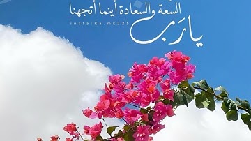 تلاوة هادئة من سورة الروم بصوت القارئ علاء الهاشمي