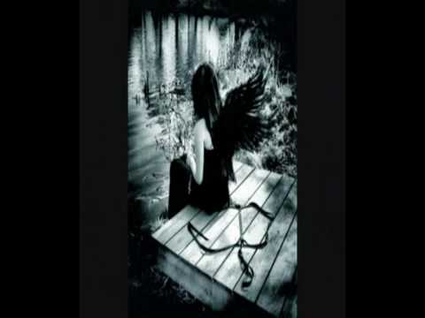 Tut So Gut  (XVII) Video
