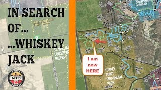 In Search of... Whiskey Jack Trail at Turkey Point