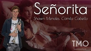 Shawn Mendes, Camila Cabello - Señorita (TMO Cover) chords