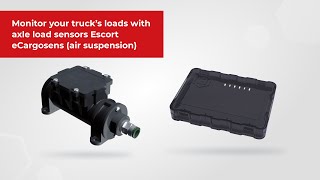 Monitor your truck’s loads with axle load sensors Escort eCargosens (air suspension) screenshot 2